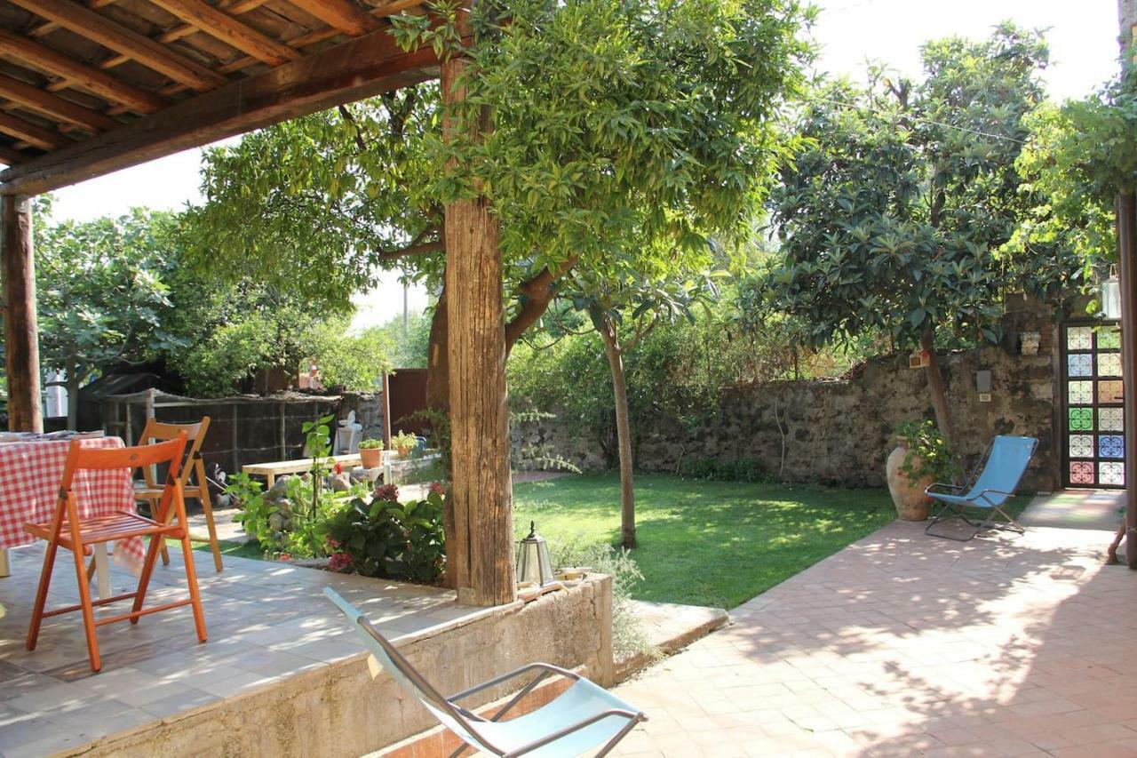 Il Pozzo E L'ulivo - Just 200 Meters From The Metro - *