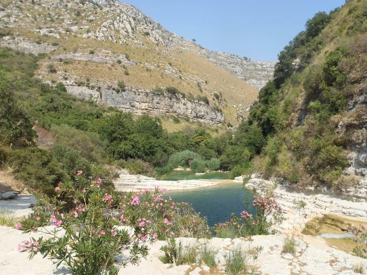Casa vacanze Il Pozzo E L'ulivo - Just 200 Meters From The Metro - *